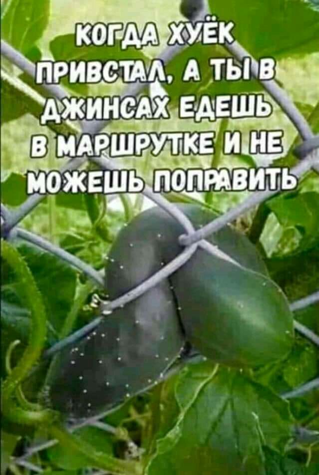 КОГ АА ХУЁКЖ ПРИВЩАА А ТЫВ ЖИНС А9Х ЕДЕШЬ А ишруткед можешь поптвить 9