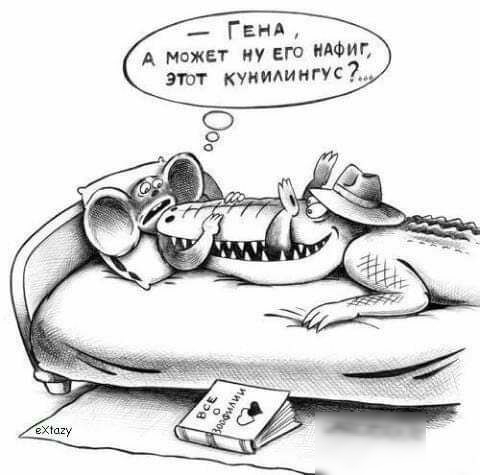 __ Ганя А может ну его АФМ этт куиидингУС