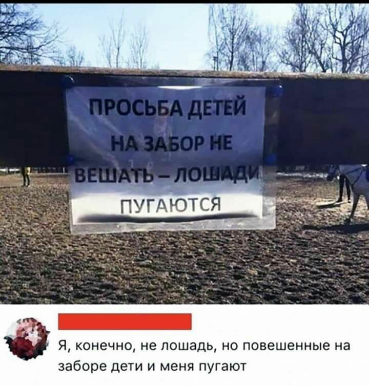 Я конечно не лошадь но повешенные на заборе дети и меня пугают