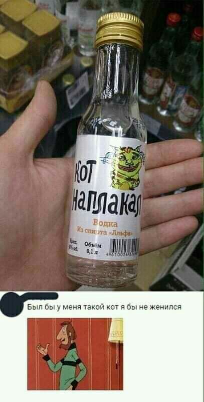 и ч Был Вы у меня такой кот я бы не женился