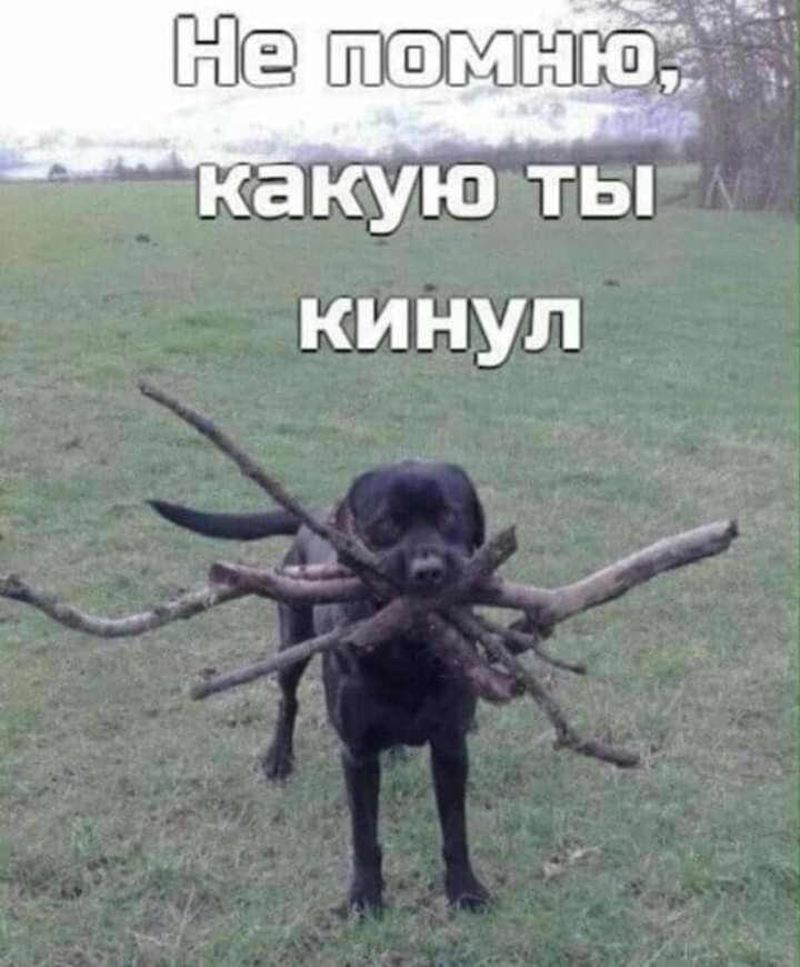 какую ты кинул