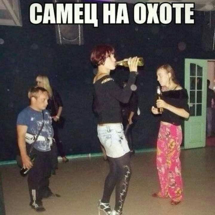 сдщцТш ПТЙЁ