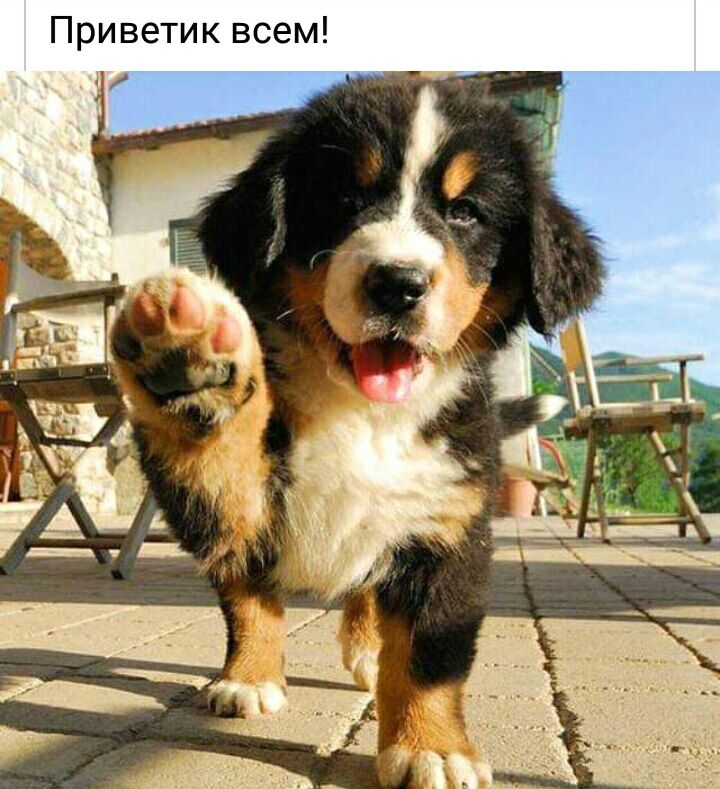 Приветик всем
