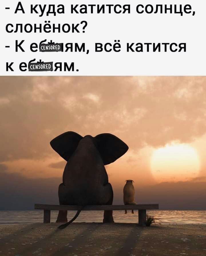 А куда катится солнце слонёнок К еям всё катится к еям