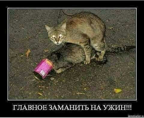 ГЛАВНОЕ ЗАМАНИТЬ НА УЖРПЗ