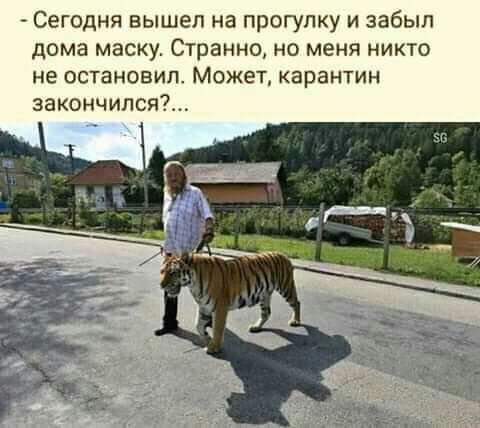 Сегодня вышел на прогулку и забыл дома маску Странно но меня никто не остановил Может карантин закончился