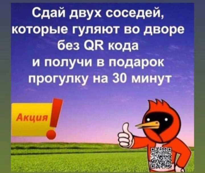 Сдай двух соседей которые гуляют во дворе без ОК кода и получи в подарок прогулку на 30 минут