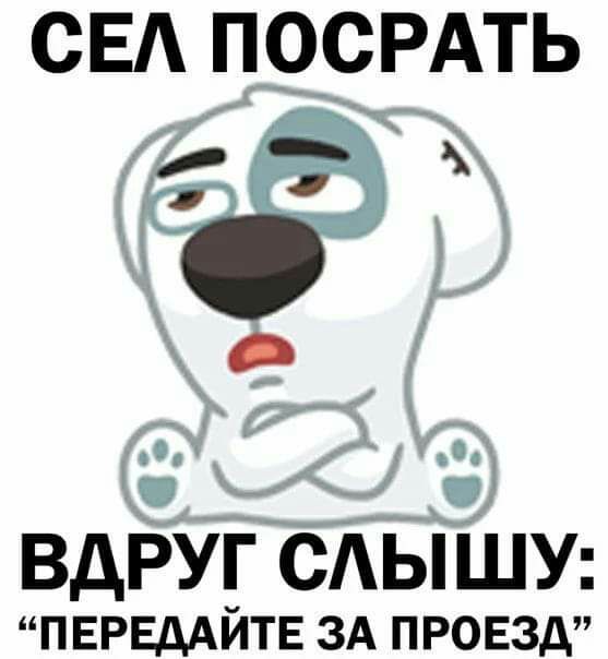 СЕА ПОСРАТЬ ВдРУГ САЫШУ ПЕРЕдАЙТЕ ЗА ПРОЕЗД