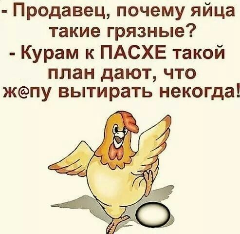 Продавец почему яйца такие грязные Курам к ПАСХЕ такой план дают что жпу вытирать некогда