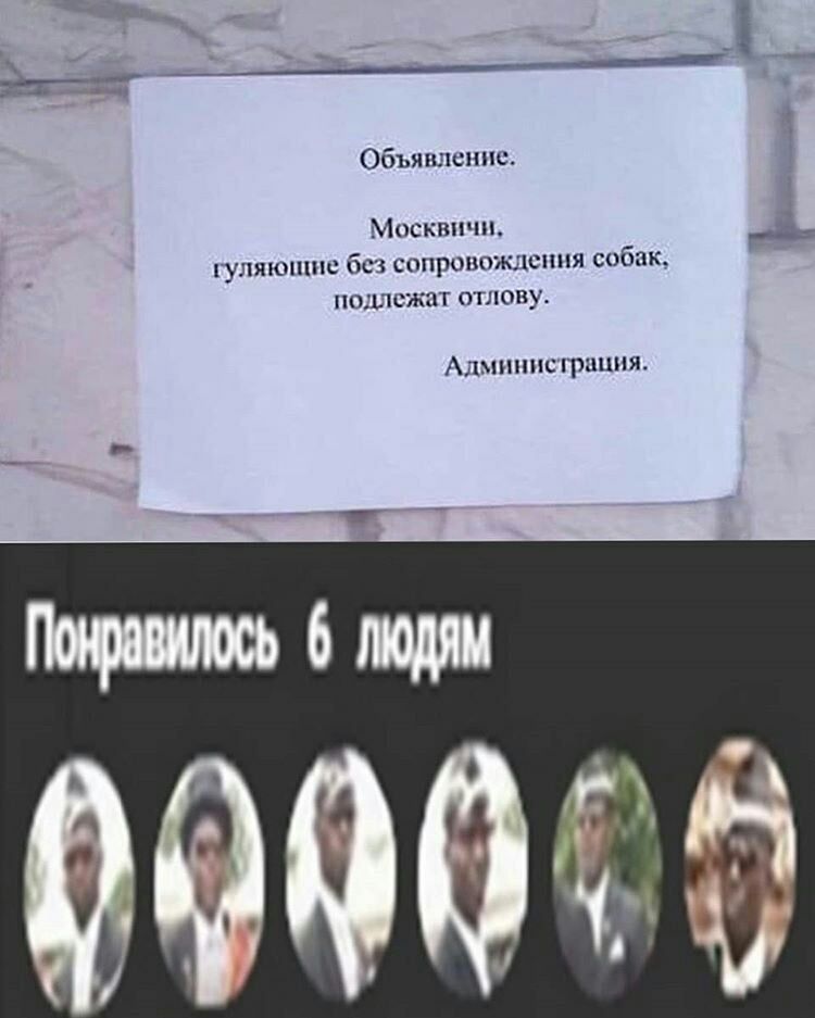 Объяшюнпс Москвичи Р гуляющие бс сппрово шюппя собак положат отлову АЛМНППСПЧЦЦНЯ