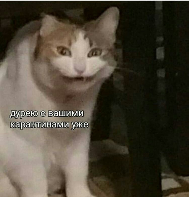 вашимй
