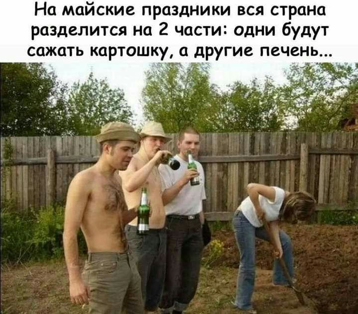 На майские праздники вся страна разделится на 2 части одни будут сажать картошку а другие печень 5 я
