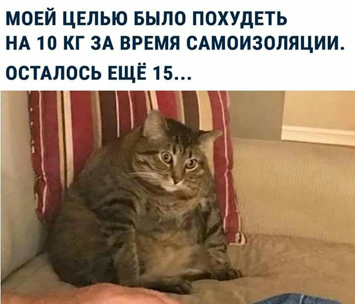МОЕЙ ЦЕЛЬЮ БЫЛО ПОХУДЕТЬ НА 10 КГ ЗА ВРЕМЯ САМОИЗОЛЯЦИИ ОСТАЛОСЬ ЕЩЁ 15
