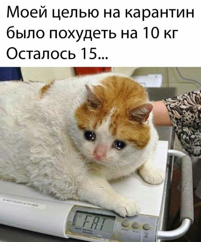Моей целью на карантин было похудеть на 10 кг Осталось 15