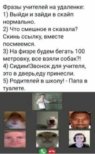 Фразы учителей на удаление 1 Выйди и зайди в скайп нормально 2 Что смешное я сказала СКИНЬ ССЫЛКУ ВМЕСЕ ПОСМЕЕМСЙ 3 На Физре будем бегать 100 метровку все взяли собак 4 Сидимшвонок для учителя это в дверьеду принесли 5 Родителей в школу Папа в туалете