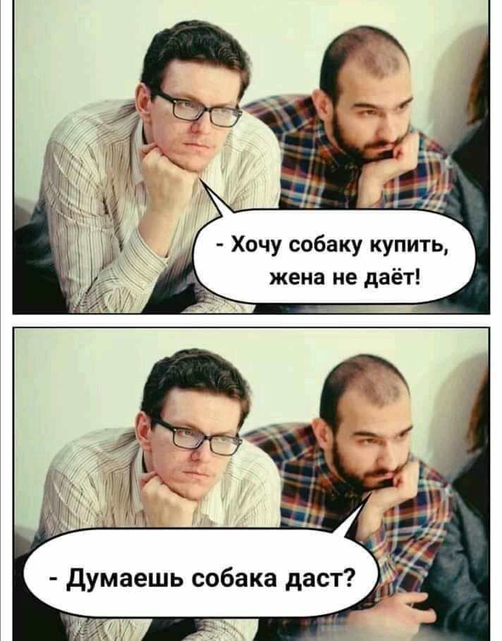 Хочу собаку купить жена не даёт
