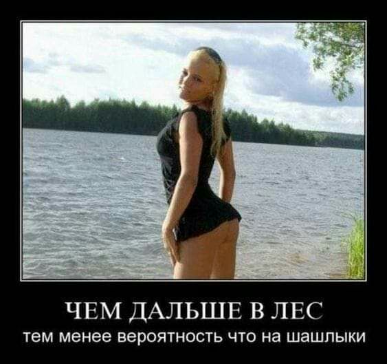 ЧЕМ ДАЛЬШЕ В ЛЕС Тем менее вероятность ЧТО на ШЭШЛЫКИ