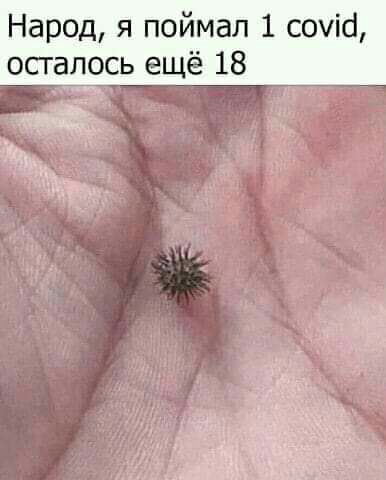 Народ я поймал 1 соуіа осталось ещё 18