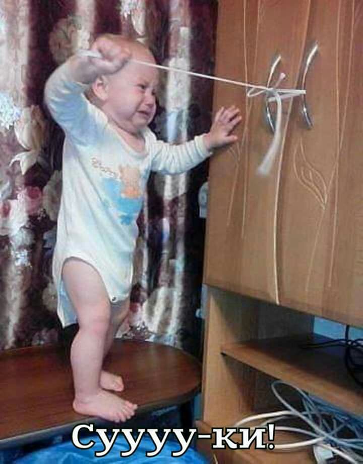 Суджа кт