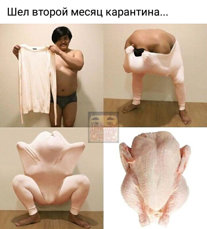 Шел второй месяц карантина