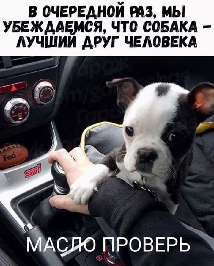 в очередной тз мы УБЕЖААЕМСЯ ЧТО СОБАКА ЛУЧШИМ АРУГ ЧЕАОВЕКА ПРОВЕРБЪ