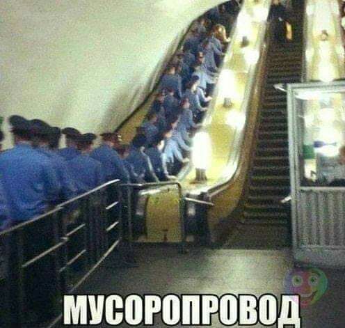 _ на миеогоііщод