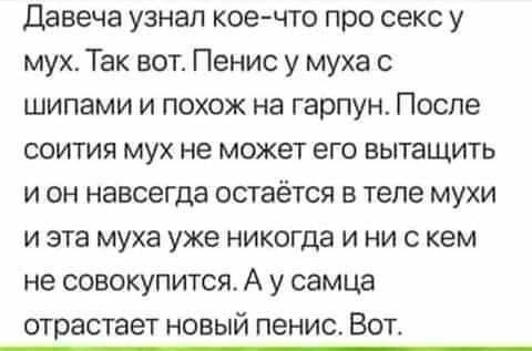 Давеча узнал коечто про секс у мух Так вот Пенис у муха с шипами и похож на гарпун После соития мух не может его вытащить и он навсегда остаётся в теле мухи и эта муха уже никогда и ни с кем не совокупится А у самца отрастает новый пенис Вот