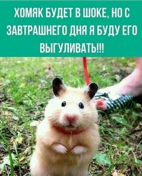 31і1дцг и Ш111г1 _ШН Мтч и 1ізд1гіп