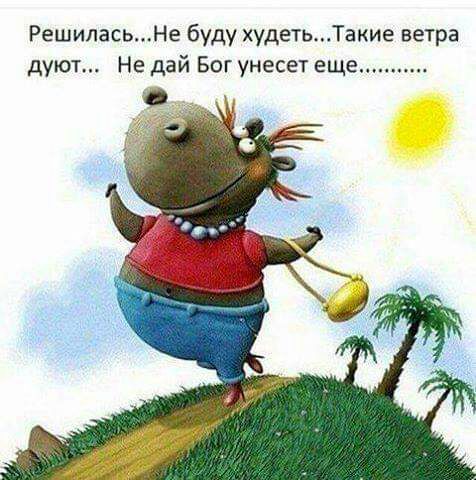 РешиласьНе буду худетьТакие ветра дуют Не дай Бог унесет еще