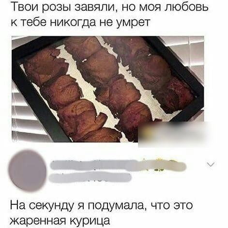 Твои розы завяли но моя любовь к тебе никогда не умрет ул _ На секунду я подумала что это жаренная курица