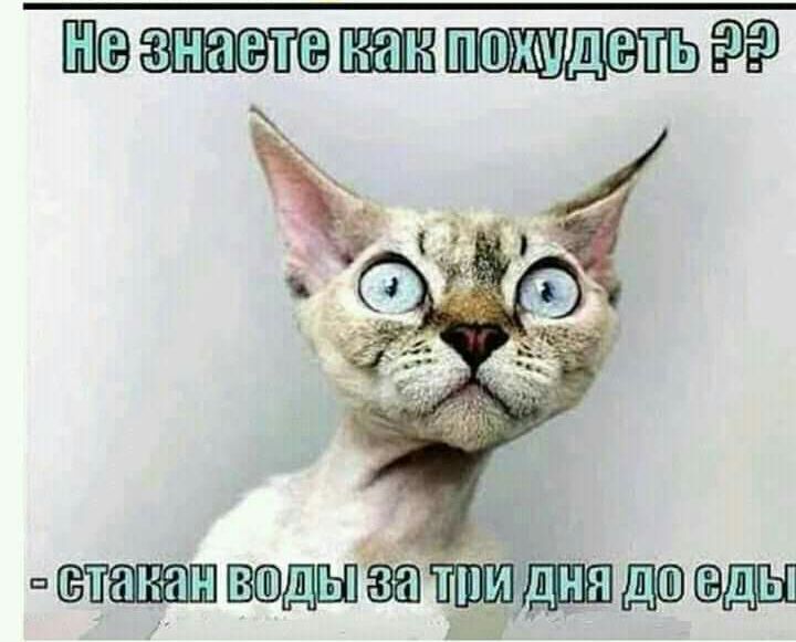 знаете ппмшдеть дпшсв