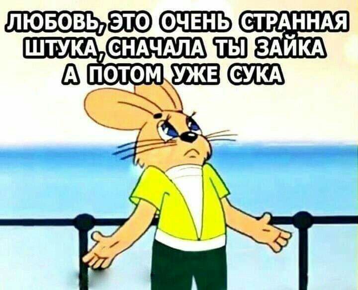 лювовь ьст РСТАННАЯ ШТУКАЕЩЩЩ ЗАЙКА