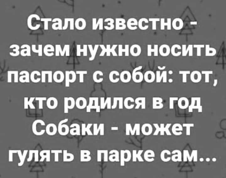 Стало известно зачем нужно носить паспорт с собой тот кто родился в год Собаки может гулять в парке сам