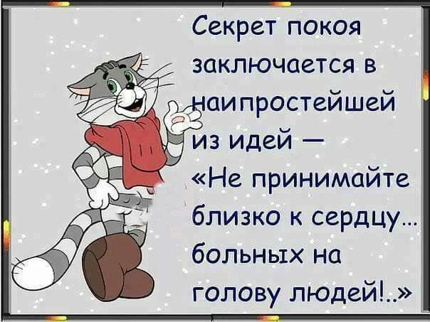 Секрет покоя заключается в Не принимайте близко к сердцу больных на голову людей