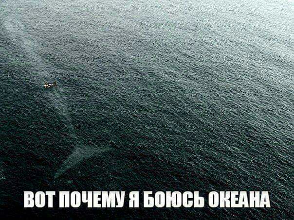 ВШ 0ЧЕШ п БШЮБЬ ШШ