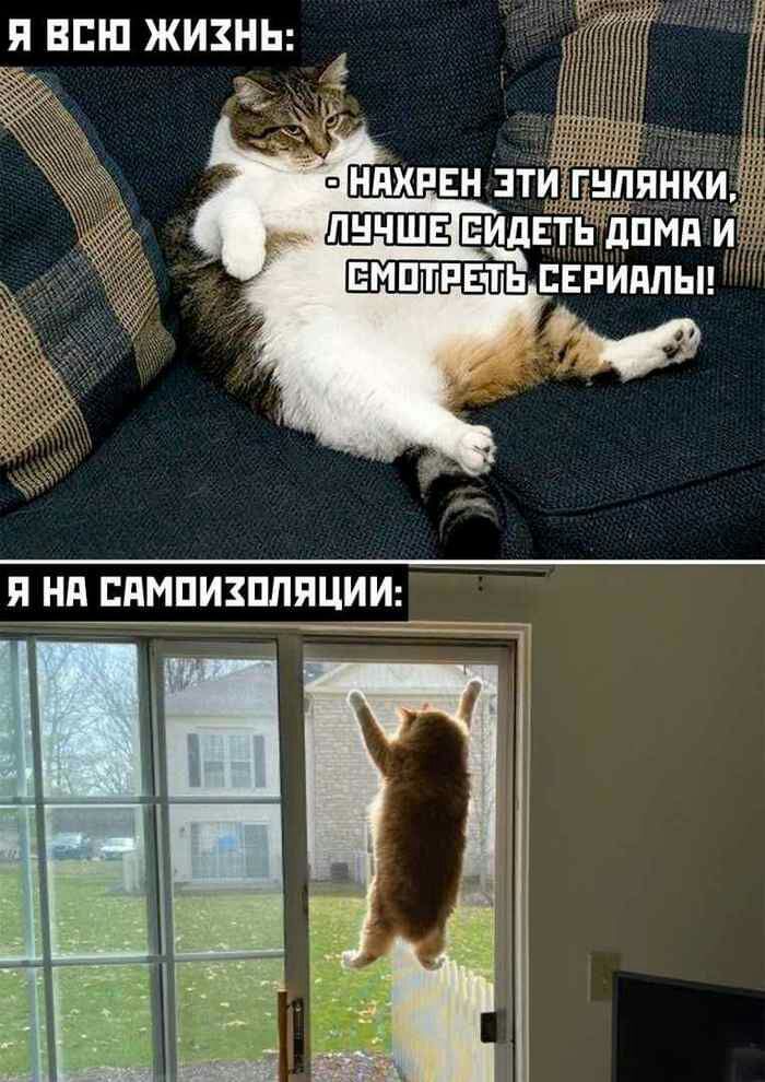 Еид Г вмптпвй приплы