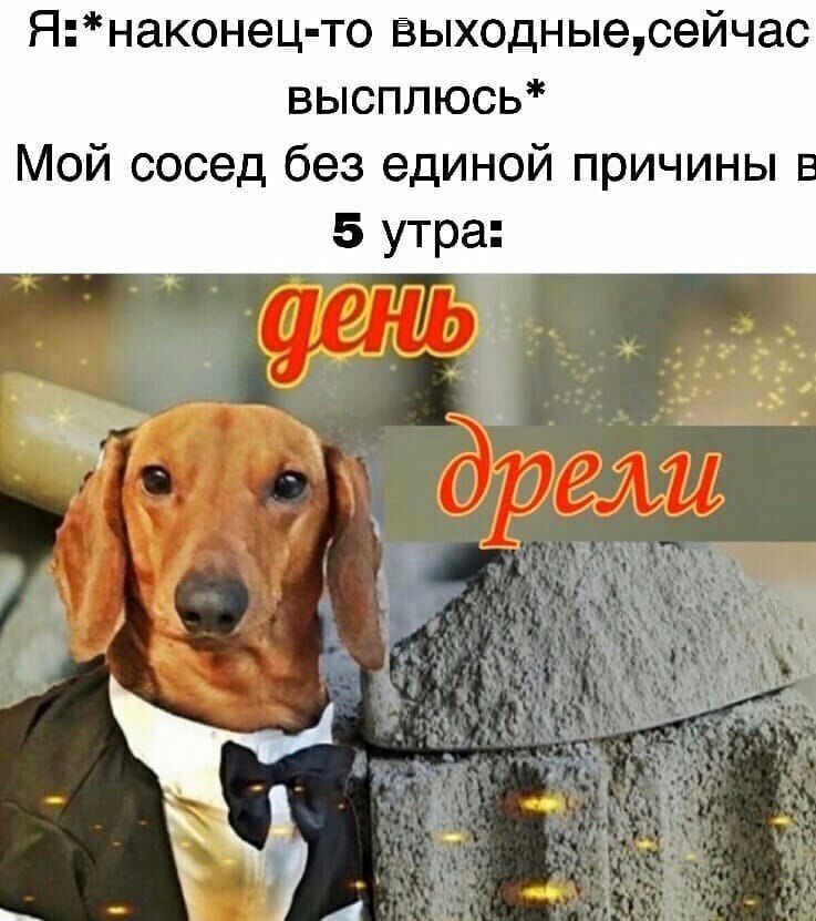Янаконец то Ёыходныесейчас высплюсь Мой сосед без единой причины 5 утра