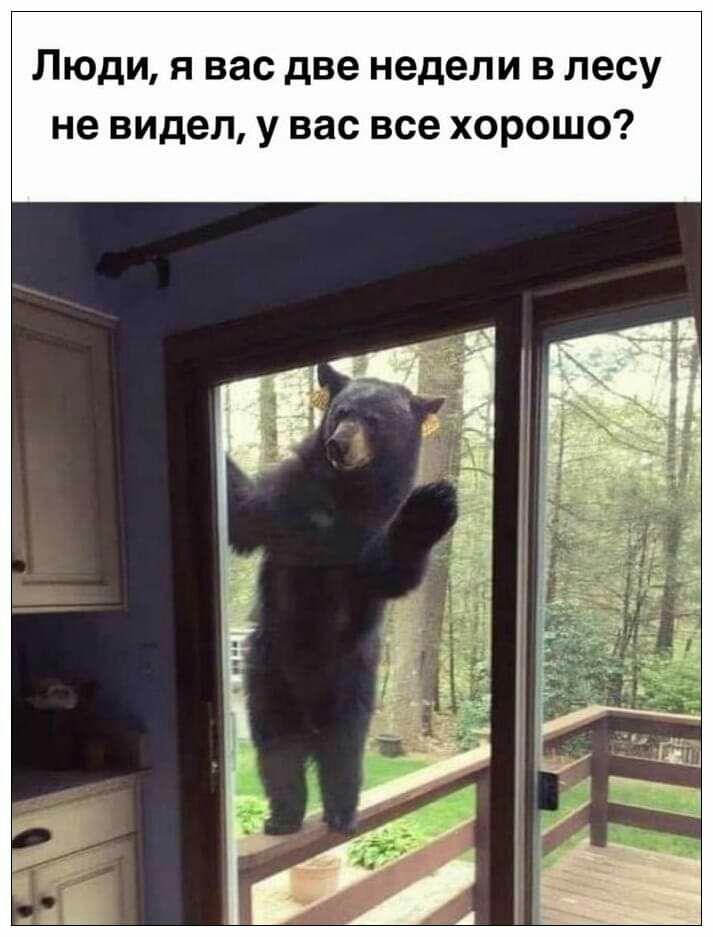 Люди я вас две недели в лесу не видел у вас все хорошо