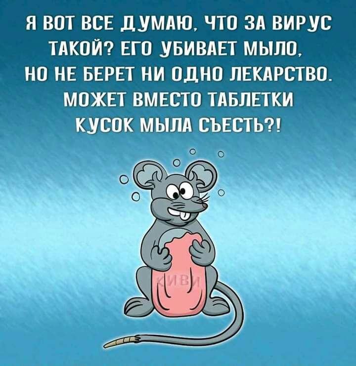 Я ВОТ ВСЕ ДУМАЮ ЧТО ЗА ВИРУС ТАКОЙ ЕГО УБИВАЕТ МЫЛО НО НЕ БЕРЕТ НИ ОДНО ЛЕКАРСТВО МОЖЕТ ВМЕСТО ТАБЛЕТКИ мсокмылтЕсьт д