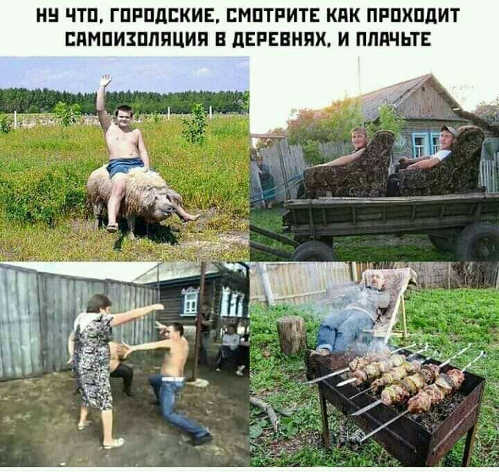 НН ЧТП ГПРПдПКИЕ ЕМПТРИТЕ КПК ПРПХПДИТ БПМПИЗПППЦИП Е дЕРЕЕНЯХ И ПЛАЧЬТЕ