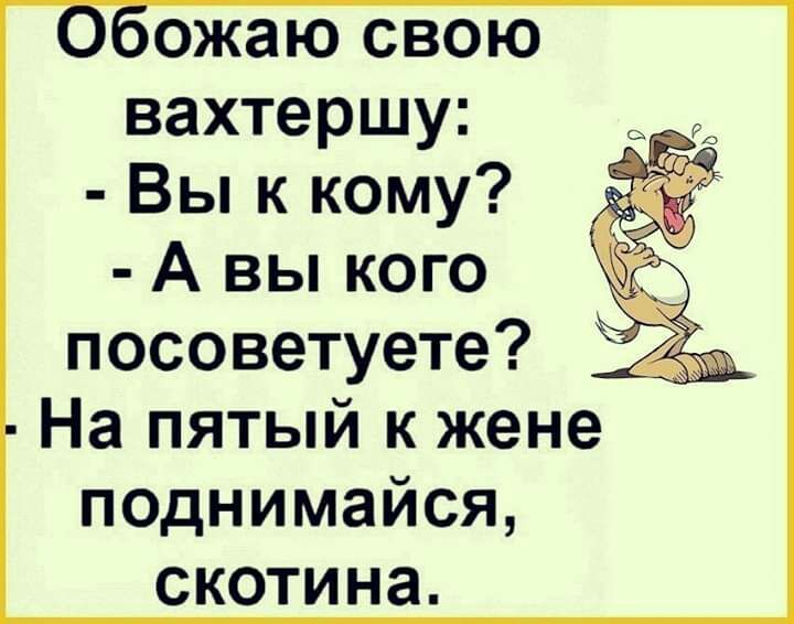 оожаю свою вахтершу Вы к кому А вы кого посоветуете На пятый к жене поднимайся СКОТИНЭ