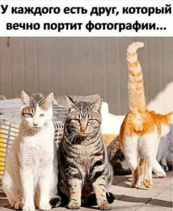 У каждого есть друг который вечно портит фотографии