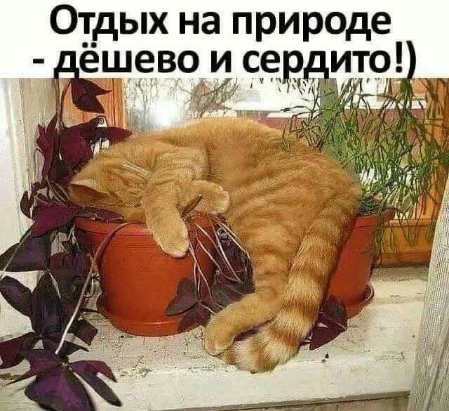 Отдых на природе ёш9в9 и с9 ит9