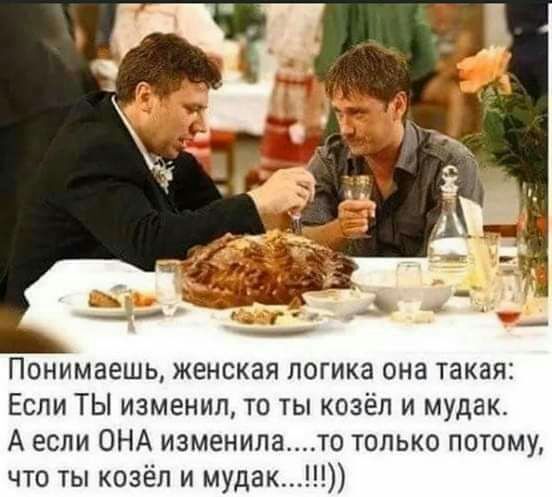 Понимаешь женская логика она такая Если ТЫ изменил то ты козёл и мудак А если ОНА изменилато только потому что ты козёл и мудак
