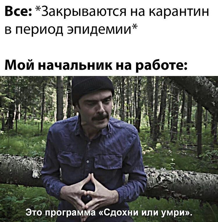 Все Закрываются на карантин в период эпидемии Мой начальник на работе Это програГа Сдохни или умри