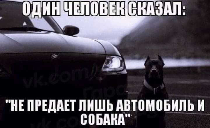 НЕ ПРЕДАЕТ ПИШЬ АВЮМПБИПЬ И СИБИКА