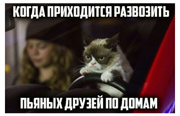 КШдА ПРИХПДИШ РАЗВПЗИТЬ Аё ПЬЯНЫХ дРУЗЕЙ ПП дПМАМ _