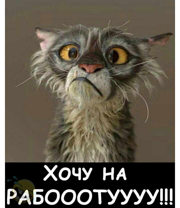 РАБОООТУУУУ