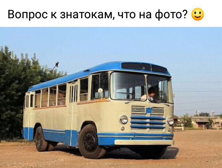 Вопрос к знатокам что на фото