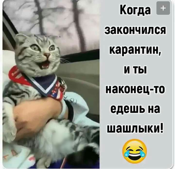 Когда Ш закончился карантин и ты наконец то едешь на шашлыки